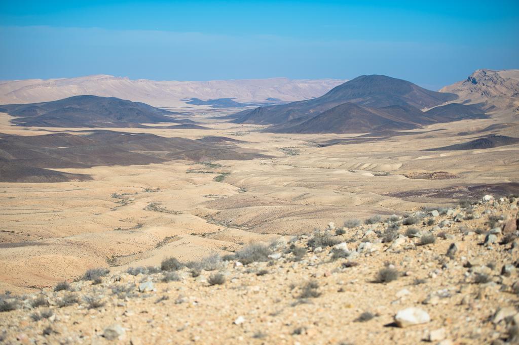 Villa Alpaca Farm - חוות האלפקות Mitzpe Ramon Esterno foto