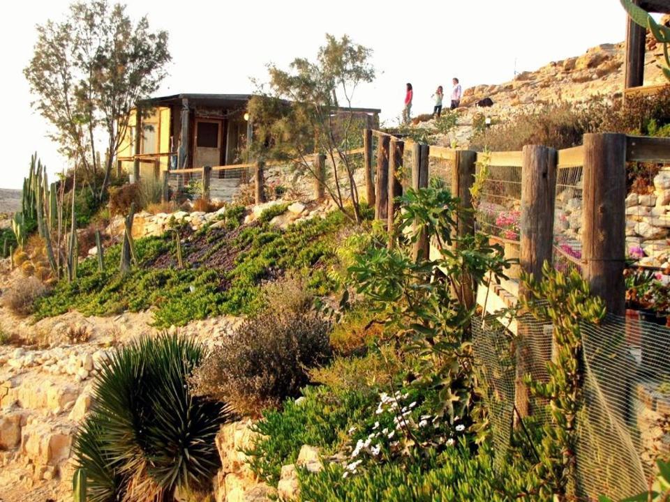 Villa Alpaca Farm - חוות האלפקות Mitzpe Ramon Esterno foto