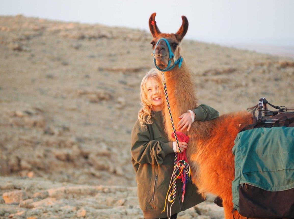 Villa Alpaca Farm - חוות האלפקות Mitzpe Ramon Esterno foto