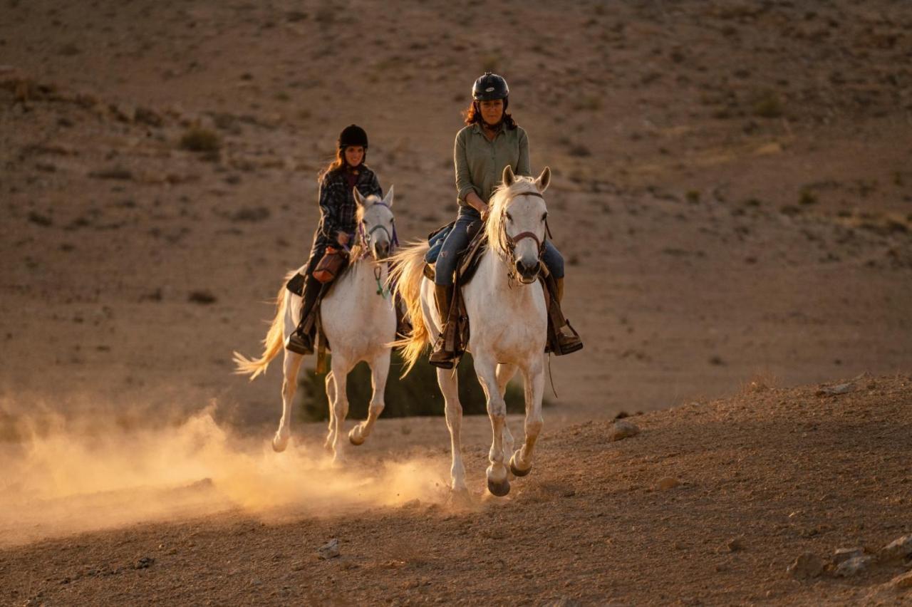 Villa Alpaca Farm - חוות האלפקות Mitzpe Ramon Esterno foto