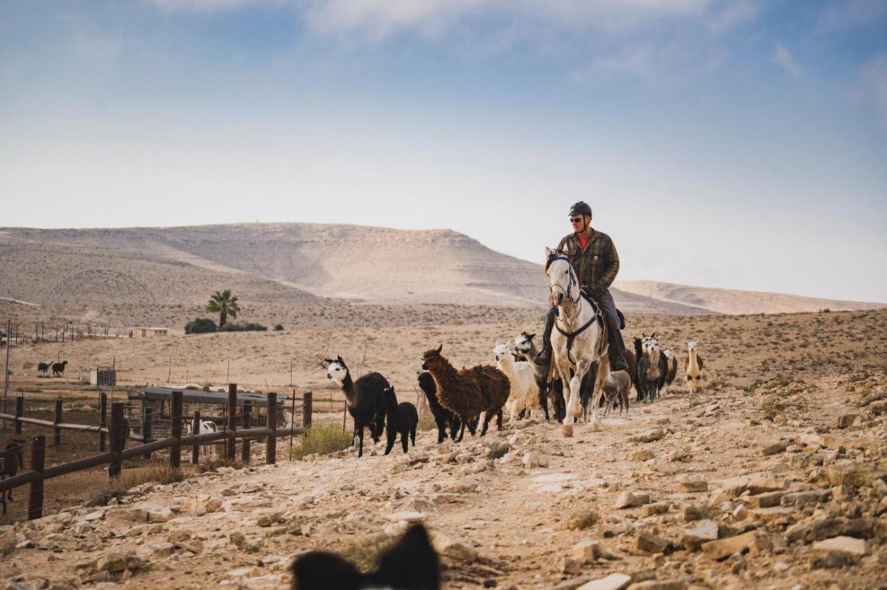 Villa Alpaca Farm - חוות האלפקות Mitzpe Ramon Esterno foto