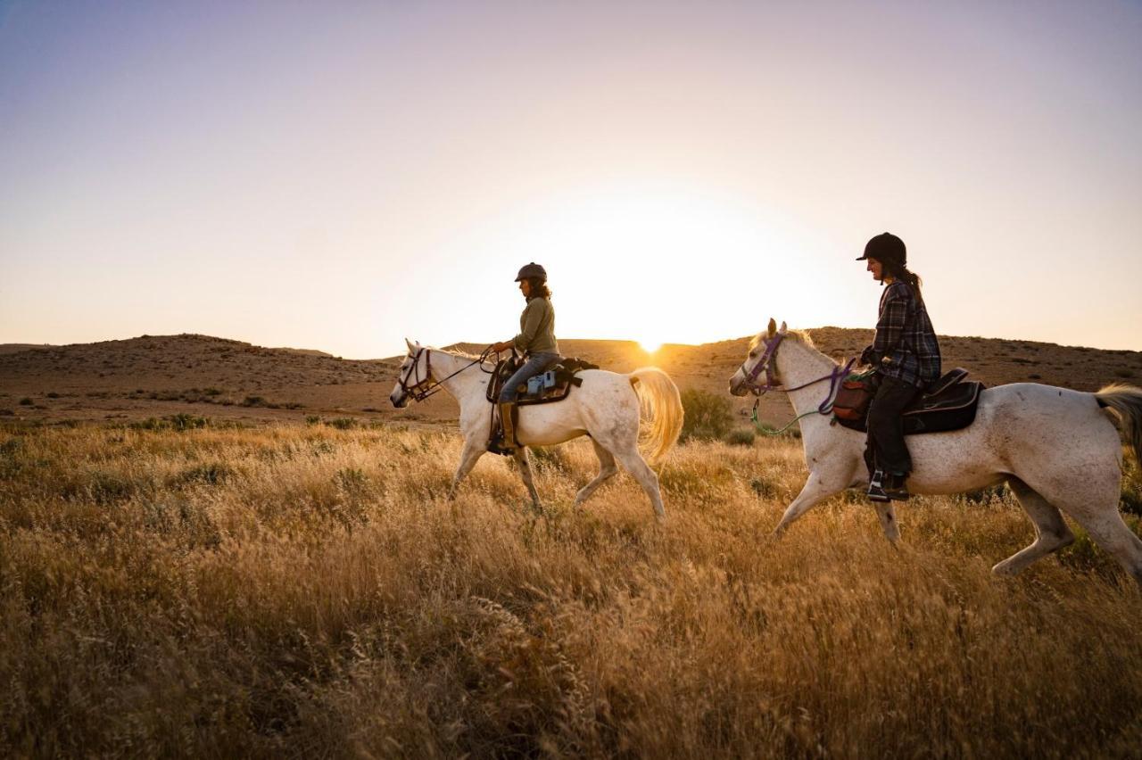 Villa Alpaca Farm - חוות האלפקות Mitzpe Ramon Esterno foto