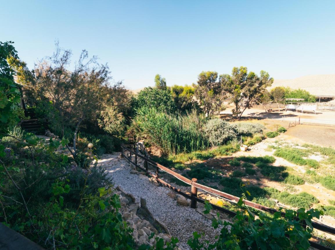 Villa Alpaca Farm - חוות האלפקות Mitzpe Ramon Esterno foto
