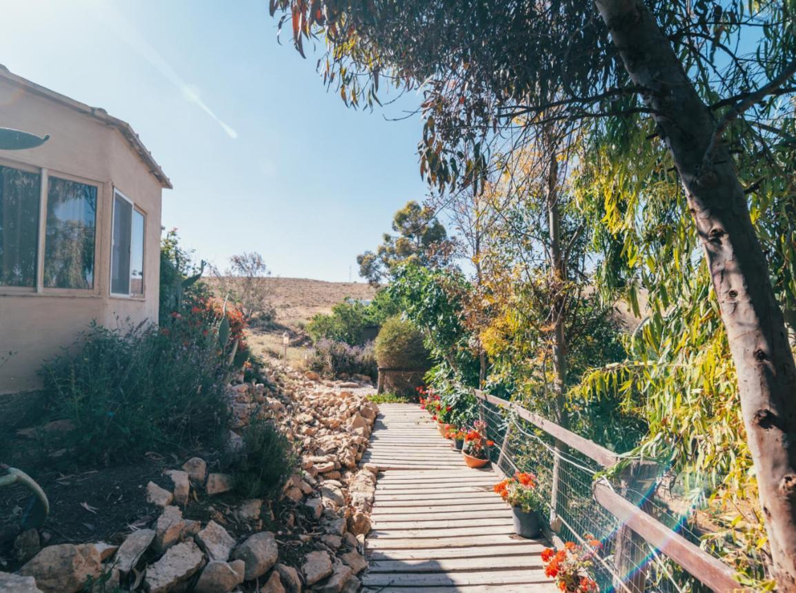 Villa Alpaca Farm - חוות האלפקות Mitzpe Ramon Esterno foto