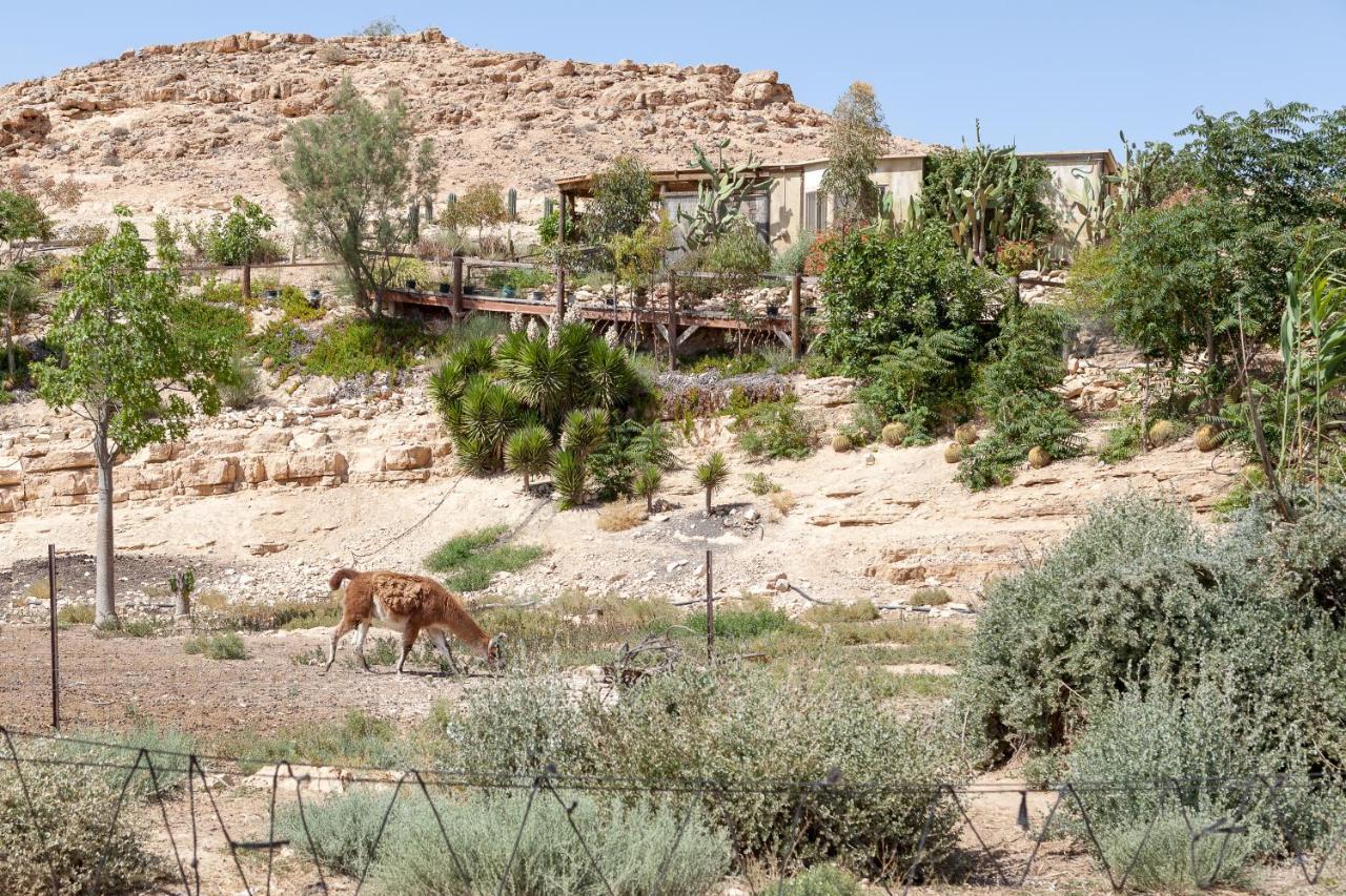 Villa Alpaca Farm - חוות האלפקות Mitzpe Ramon Esterno foto