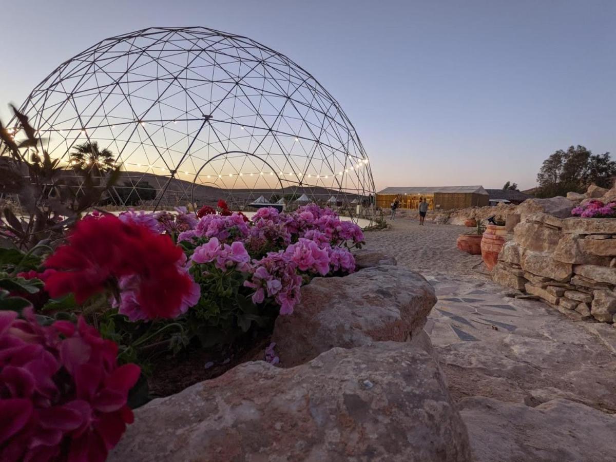 Villa Alpaca Farm - חוות האלפקות Mitzpe Ramon Esterno foto