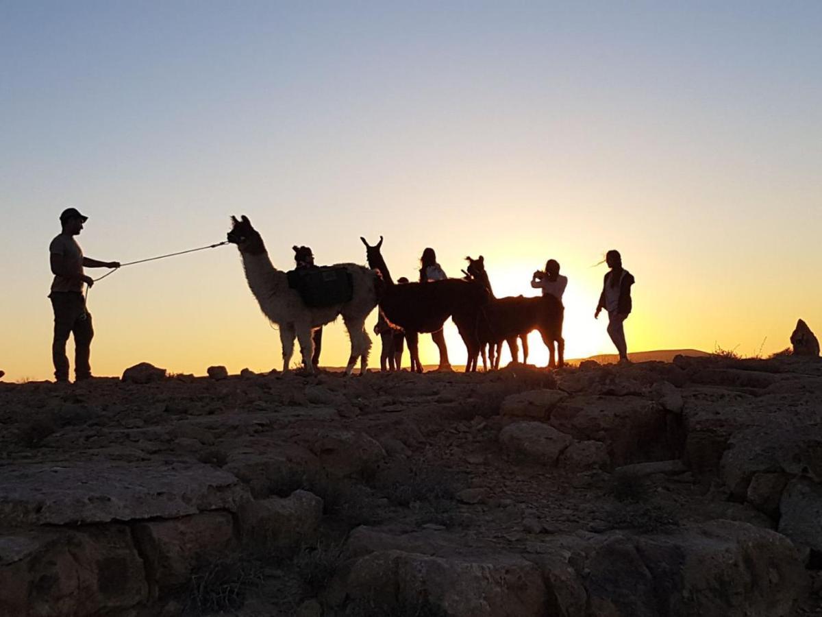 Villa Alpaca Farm - חוות האלפקות Mitzpe Ramon Esterno foto