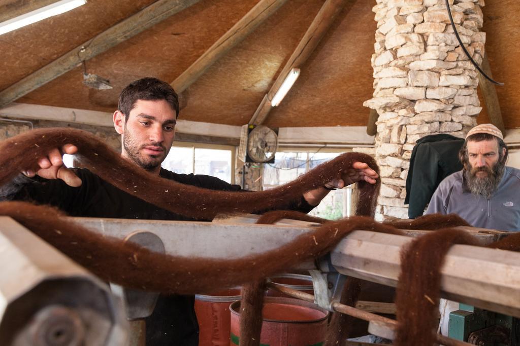 Villa Alpaca Farm - חוות האלפקות Mitzpe Ramon Esterno foto