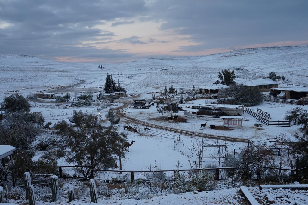 Villa Alpaca Farm - חוות האלפקות Mitzpe Ramon Esterno foto