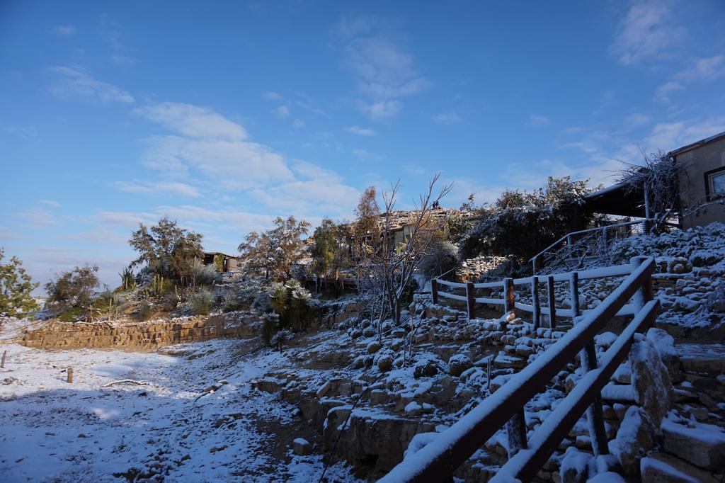 Villa Alpaca Farm - חוות האלפקות Mitzpe Ramon Esterno foto
