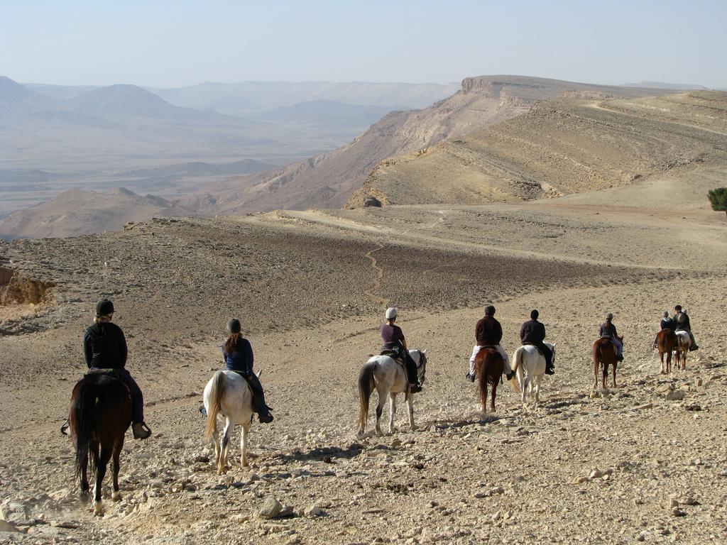 Villa Alpaca Farm - חוות האלפקות Mitzpe Ramon Esterno foto