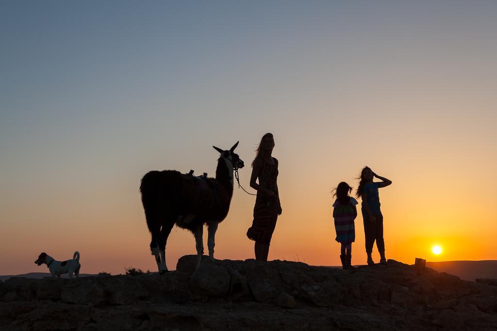 Villa Alpaca Farm - חוות האלפקות Mitzpe Ramon Esterno foto