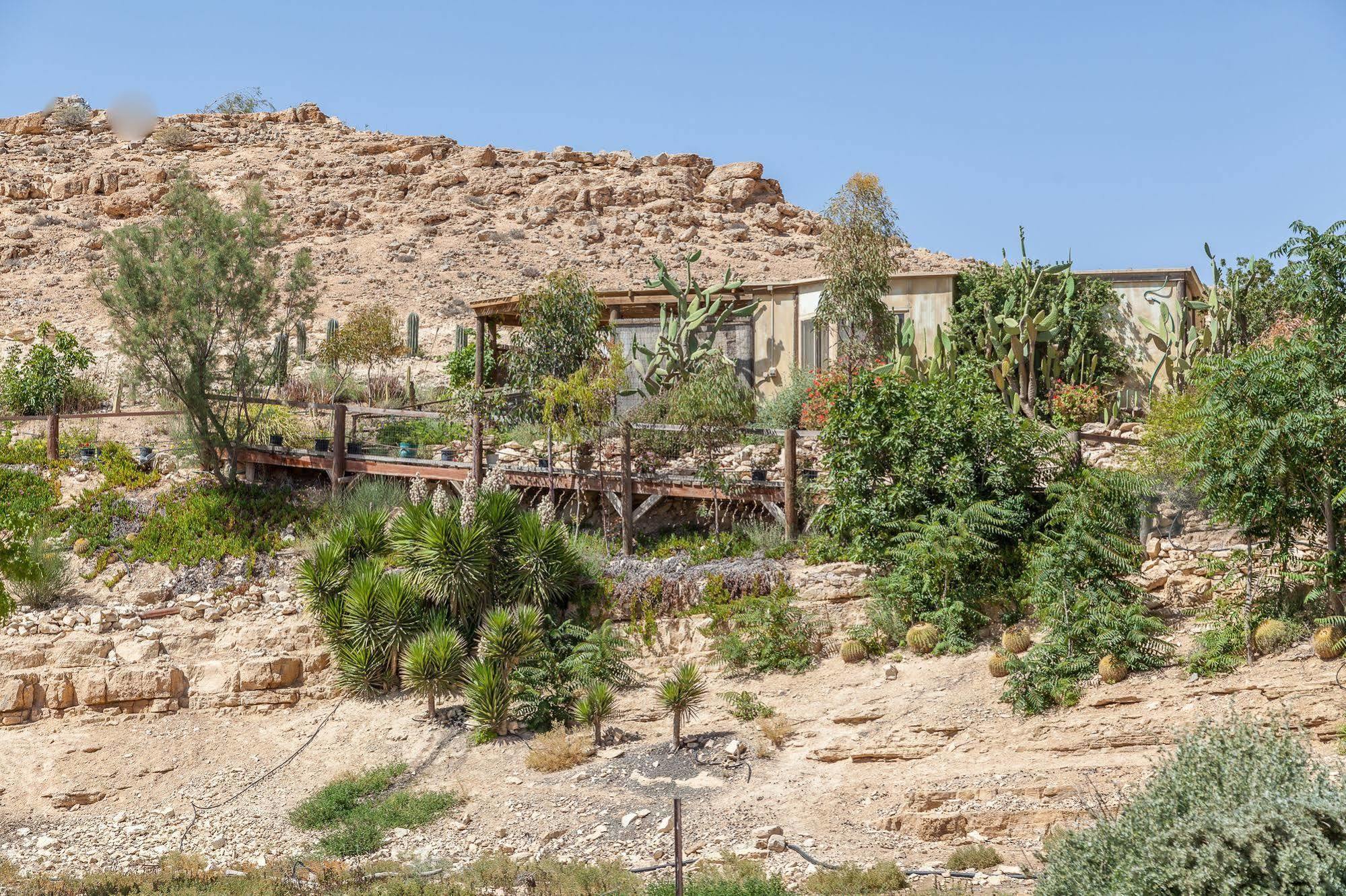 Villa Alpaca Farm - חוות האלפקות Mitzpe Ramon Esterno foto